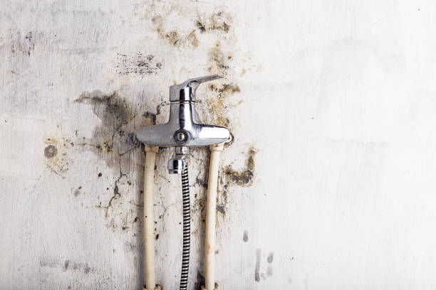 Annetta, TX Mold Remediation Company