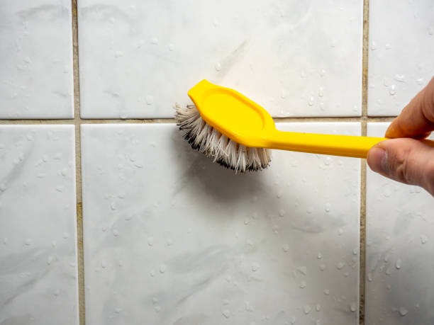 Best Health and Safety Mold Remediation in Annetta, TX