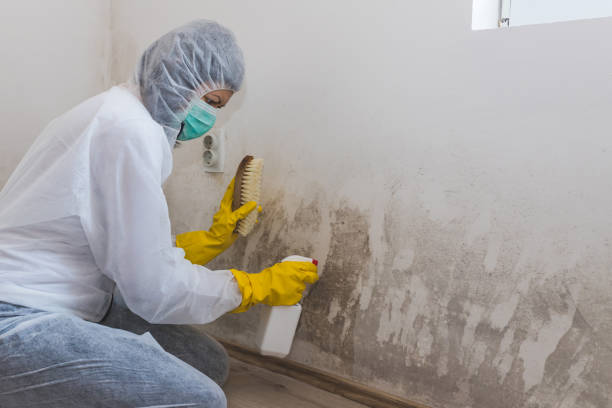 Best Mold Testing and Inspection Services in Annetta, TX