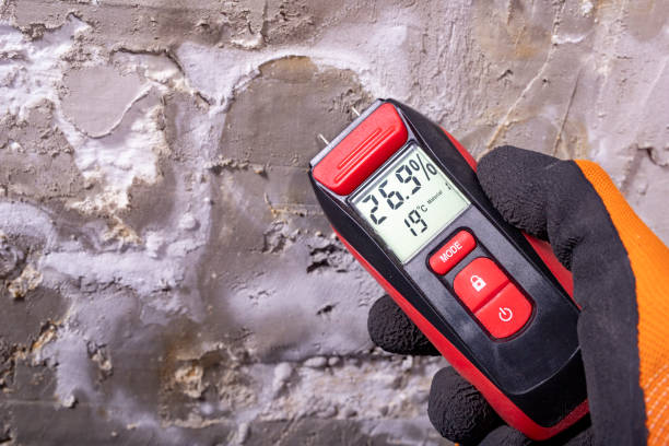Best Industrial Mold Remediation in Annetta, TX