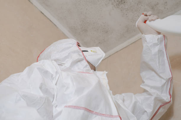 Best Health and Safety Mold Remediation in Annetta, TX
