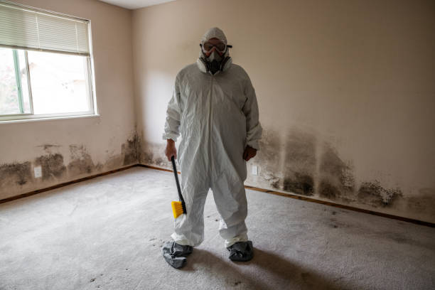 Best Residential Mold Remediation in Annetta, TX